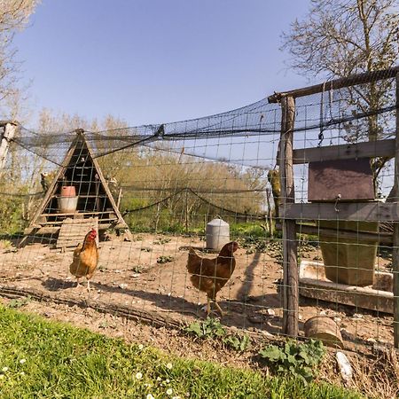 Вилла Gite Champetre Renove Avec Terrasse & Equipements, Proche Pornic - Animaux Acceptes - Fr-1-306-1027 Frossay Экстерьер фото
