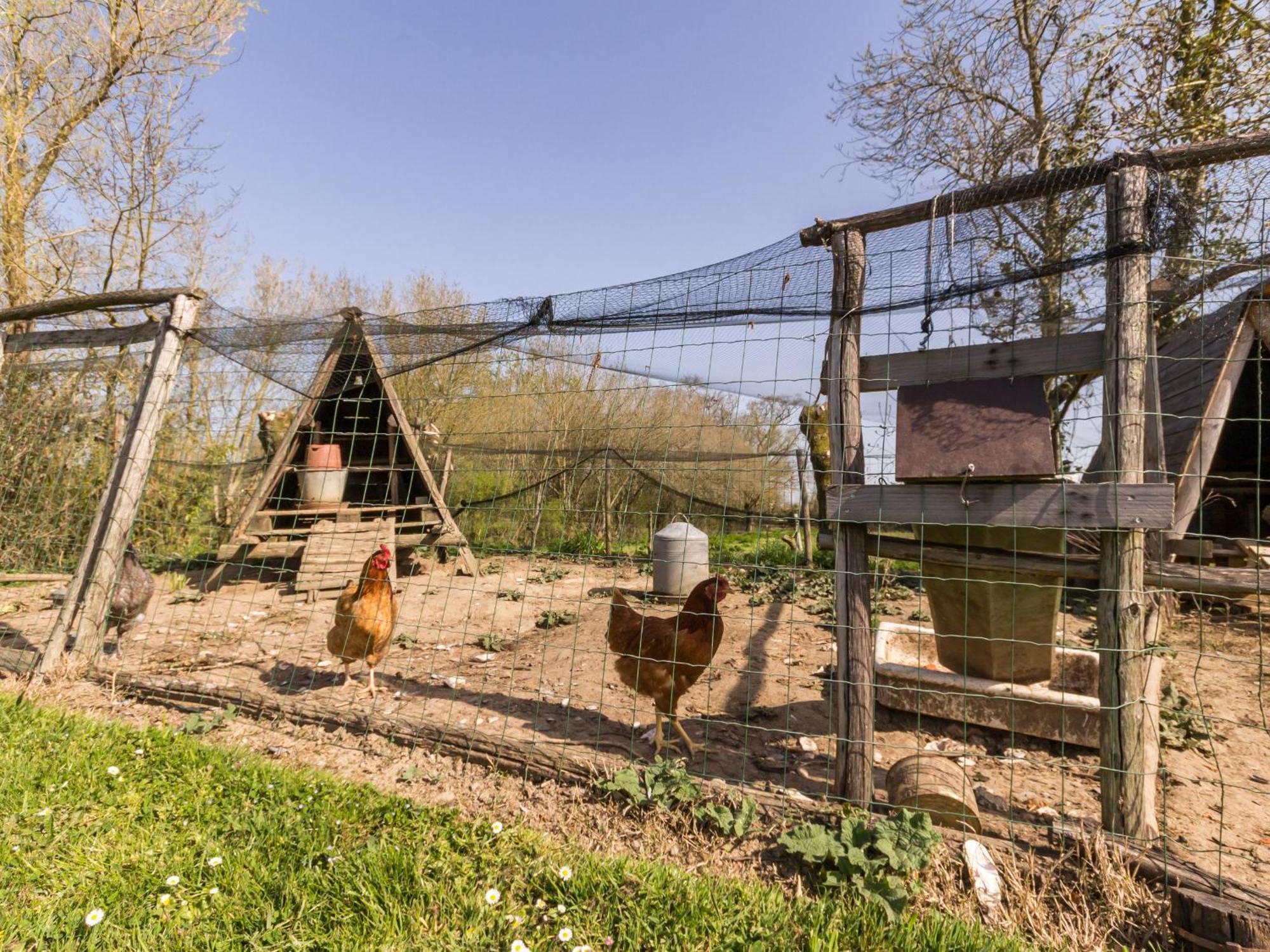 Вилла Gite Champetre Renove Avec Terrasse & Equipements, Proche Pornic - Animaux Acceptes - Fr-1-306-1027 Frossay Экстерьер фото